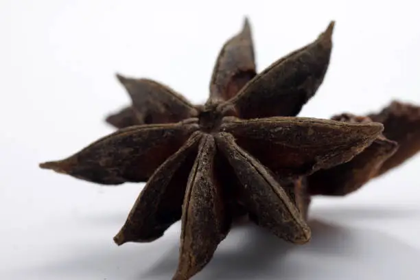 Close up shoot of star anise or Illicium verum is a medium-sized evergreen tree native to northeast Vietnam and southwest China