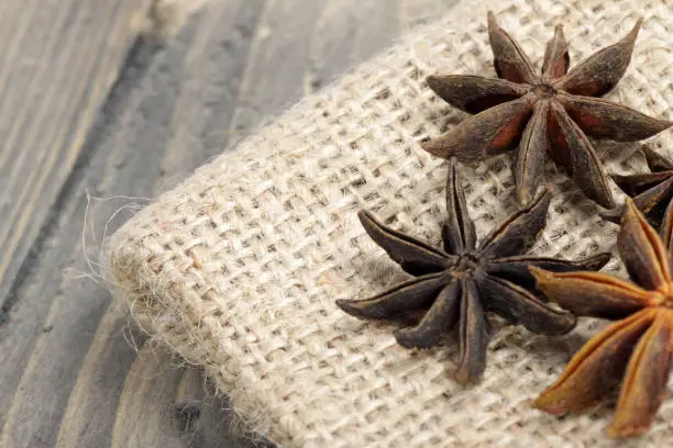 Close up shoot of star anise or Illicium verum is a medium-sized evergreen tree native to northeast Vietnam and southwest China