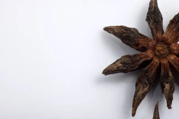 Close up shoot of star anise or Illicium verum is a medium-sized evergreen tree native to northeast Vietnam and southwest China