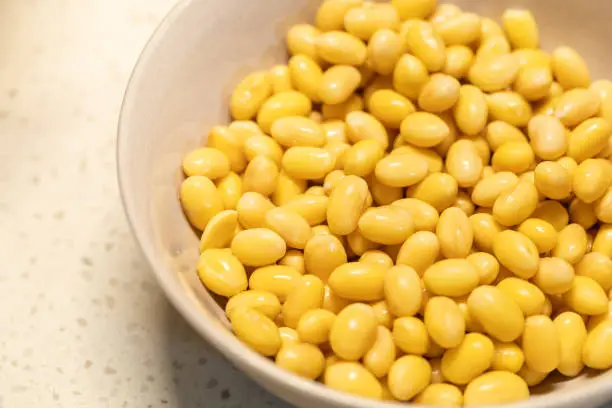 Photo of Soaked Soybeans