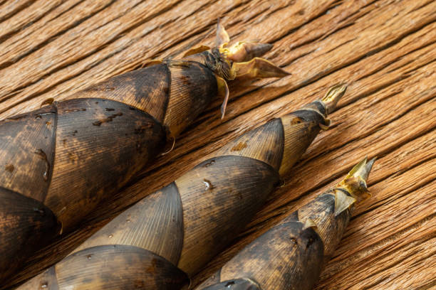 germogli di bambù - bamboo shoot bamboo indoors plant foto e immagini stock