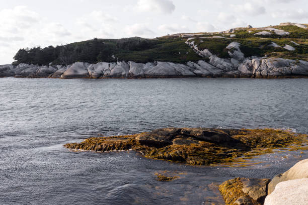 istock Terrain near Peggy's Cove Nova Scotia 1225188526