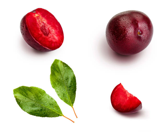 istock Plums from different angles and leaves isolated on white background. Appetizing and healthy red plums, whole and cut into segments with an aspect of illustration. 1225188759