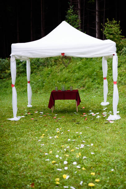 istock Small wedding tent in the nature 1225192289