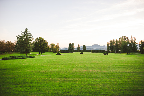 Large trimmed green grass field with beautiful cloudy sky and copy space