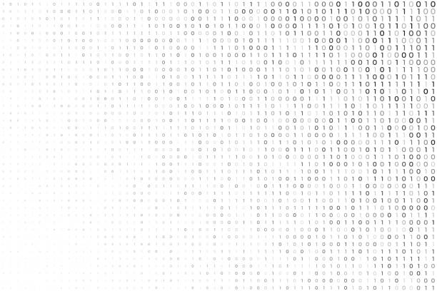 cyfrowe białe tło z binarnymi numerami kodowymi - coding algorithm computer software computer language stock illustrations