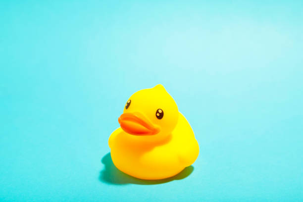 istock Yellow rubber duck organized on blue background. 1225193529
