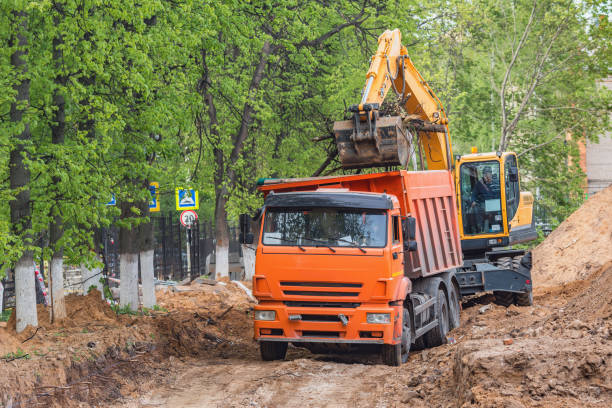 istock Excavator loads sawn sections of the tree trunks. 1225193727