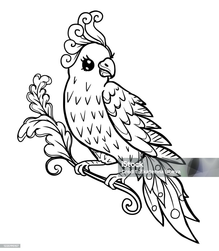 Vẽ Đường Viền Của Một Con Chim Vẹt Mào Cách Điệu Hình Minh Họa Sẵn Có - Tải  Xuống Hình Ảnh Ngay Bây Giờ - Bay - Hoạt Động Di Chuyển, Bàn