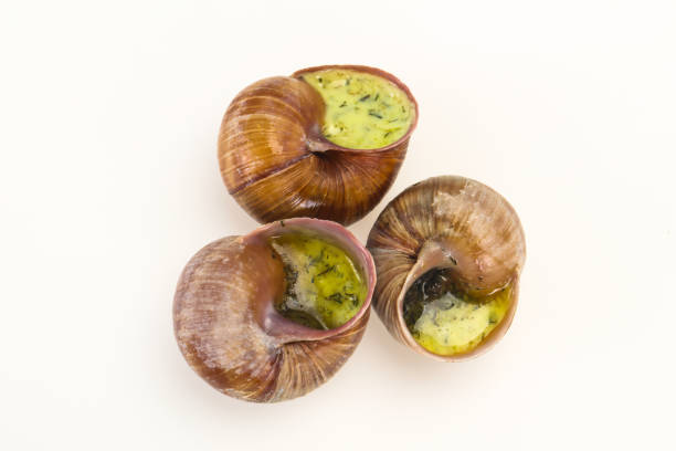 escargot is a delicacy consisting of cooked land snails