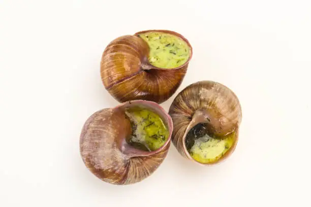 French cuisine - Escargot with butter sauce