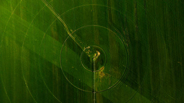 istock Agriculture aerial view with circular crop irrigation 1225200109