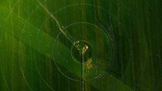 Green field aerial view with circular crop irrigation