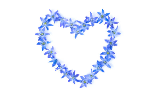 istock Heart shape of blue spring flowers 1225201105