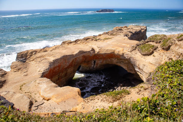 istock Devils Punchbowl State Natural Area, Otter Rock, Oregon in August at low tide, horizontal 1225202080