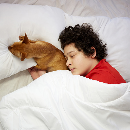 Boy is sleeping with his dog in the bed.