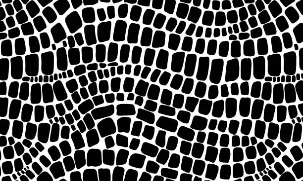 wzór skóry węża i krokodyla - snakeskin snake animal skin pattern stock illustrations