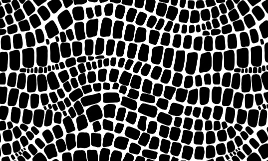 Vector seamless black and white pattern of snake and crocodile skin on an isolated white background. Stock texture of the animal. Fashion design, print on fabric wallpaper, website template design.