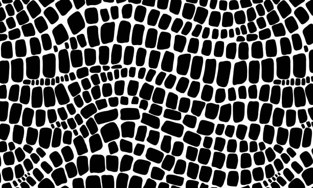 Pattern skin snake and crocodile Vector seamless black and white pattern of snake and crocodile skin on an isolated white background. Stock texture of the animal. Fashion design, print on fabric wallpaper, website template design. dinosaur stock illustrations