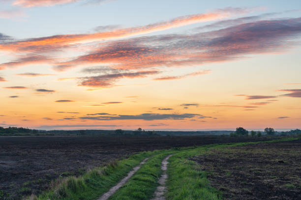 istock Dirt road in a rural field at sunset 1225207443
