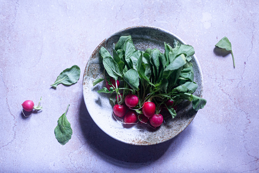 A bunch of freshly harvested red baby radishes with stalk and green leaves on a Japanese style ceramic plate on a light pink, purple table against a black background. Naturally lit by window light.