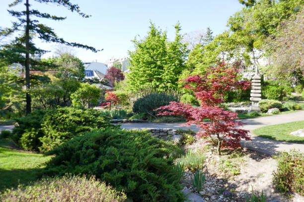 istock Setagaya Park, Vienna 1225208067