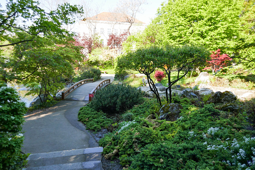 Setagaya Park is a beautiful, little Japenese garden in Austria´s capital Vienna