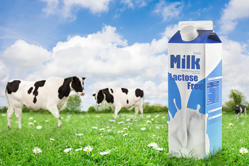 Lactose free Milk Carton \nDesigned for this photoshoot only, totally free from likeness of any brand