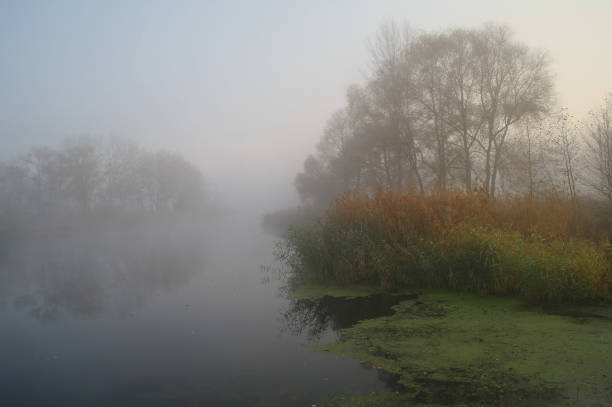 istock Landscape with river at early morning time 1225209729