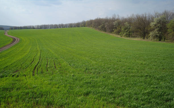 istock Spring coming to the land 1225209776