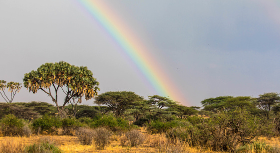 Rural landscape with a colorful rainbow and rain clouds, national park africa