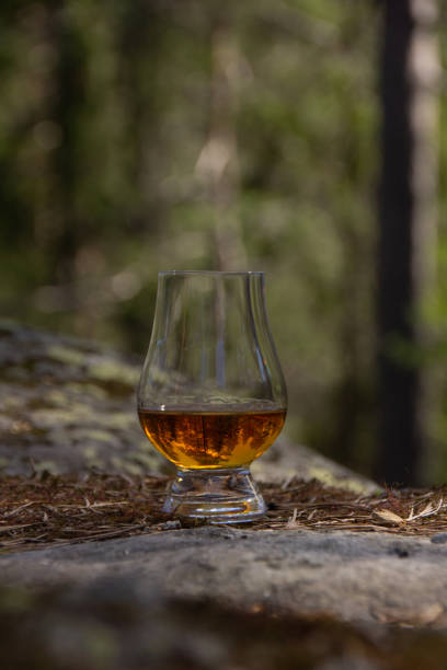 istock Single malt whisky in the forest 1225212526