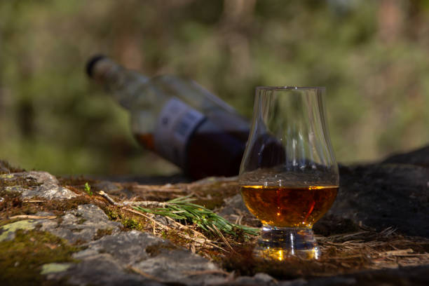istock Single malt whisky in the forest 1225212531