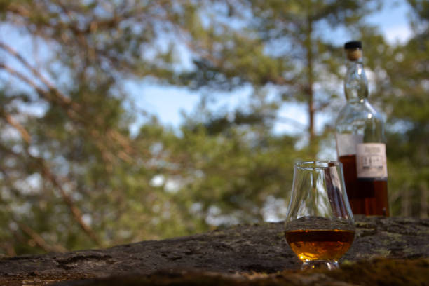 istock Single malt whisky in the forest 1225212533
