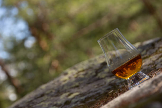 istock Single malt whisky in the forest 1225212534