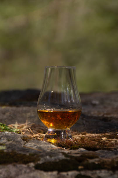 istock Single malt whisky in the forest 1225212540
