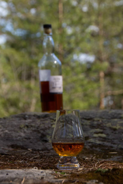 istock Single malt whisky in the forest 1225212541