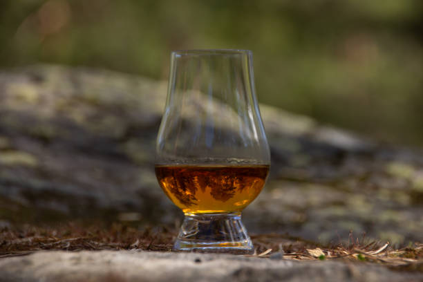 istock Single malt whisky in the forest 1225212546