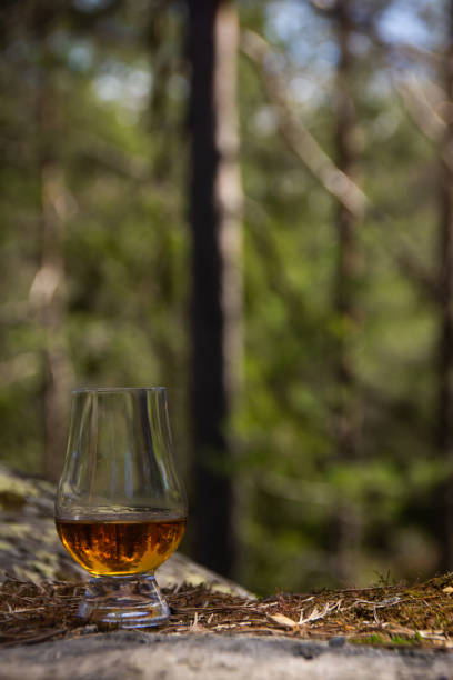istock Single malt whisky in the forest 1225213879