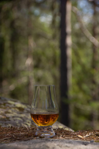 istock Single malt whisky in the forest 1225213881