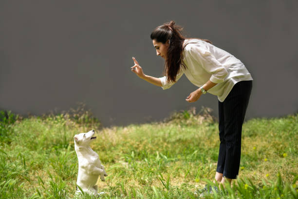istock dog eating prize 1225216905