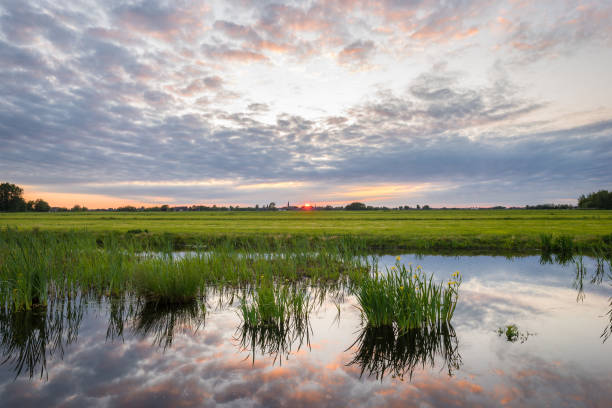 istock Sun sets over a wetland in Holland 1225217231