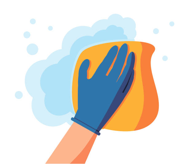 Cleaning napkin in the hands of a houseworker. Wipe with a cloth, yellowmicrofiber, blue gloves. Housekeeping service. Vector illustration flat design. The concept of disinfection. Cleaning napkin in the hands of a houseworker. Wipe with a cloth, yellowmicrofiber, blue gloves. Housekeeping service. Vector illustration flat design. The concept of disinfection. cleaning drawings stock illustrations