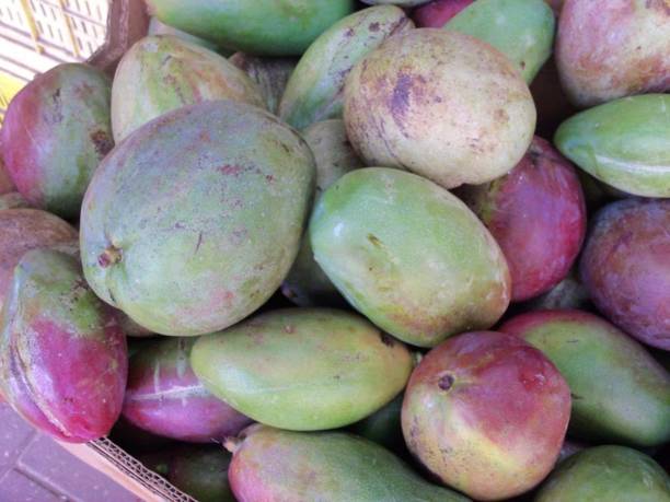 istock yamagui mangoes 1225218851