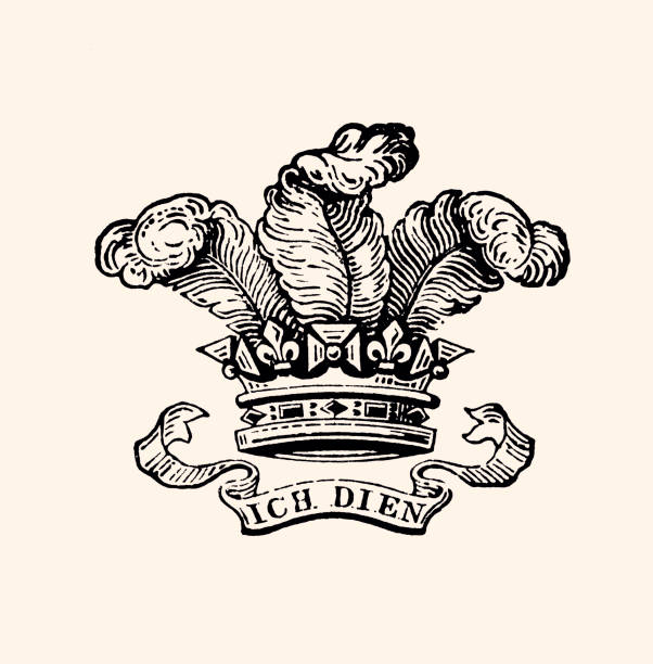 I DIEN (XXXL) The Prince of Wales's feathers is the heraldic badge of the Prince of Wales. It consists of three white ostrich feathers emerging from a gold coronet.Its use is generally traced back to Edward, the Black Prince (1330–1376)
Vintage etching circa late 19th century ostrich feather stock illustrations