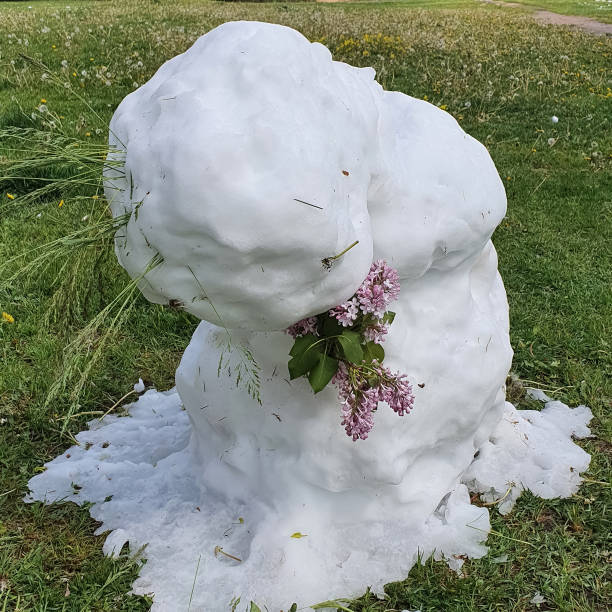 istock Spring time nature background with snow man and flowers. Anomaly weather and climate change concept. Nature surprises on May 12, 2020 in Lithuania. 1225226749