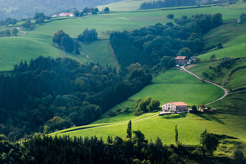 View of the green meadows and Landa Etxeas de Aia, Gipuzkoa, Spain