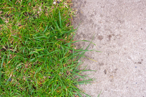 istock half of green artificial grass and gray cement floor, concept is comparison between green of forest and gray of building 1225230029