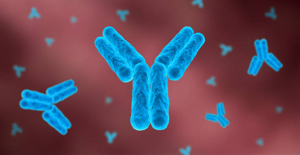 istock 3D Digital Illustration of antibodies 1225230376