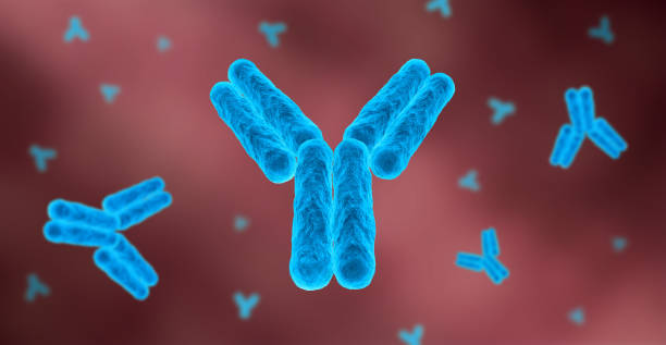 3D Digital Illustration of antibodies stock photo